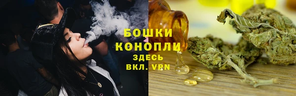 ГАЛЛЮЦИНОГЕННЫЕ ГРИБЫ Костерёво
