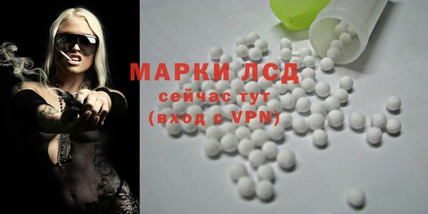 ГАЛЛЮЦИНОГЕННЫЕ ГРИБЫ Костерёво