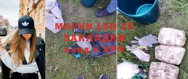 ГАЛЛЮЦИНОГЕННЫЕ ГРИБЫ Костерёво