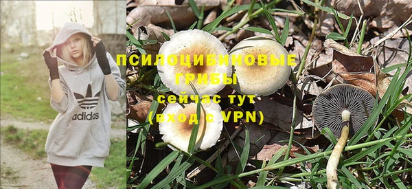 гидропоника Коряжма
